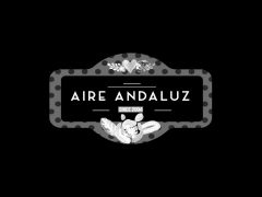 aireandaluz